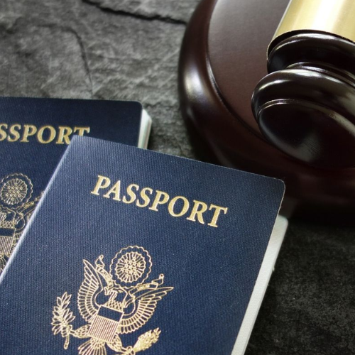 Untitled design - 2026-02-13T163408.175