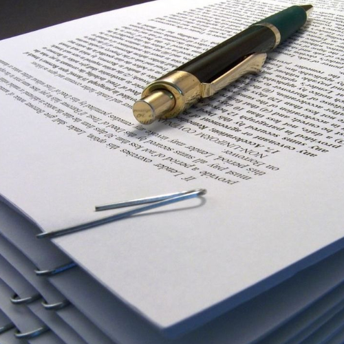 Untitled design - 2026-02-13T163635.495